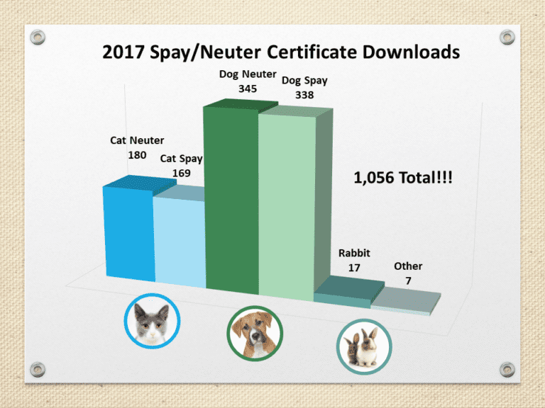 Chart 3 Spay Neuter