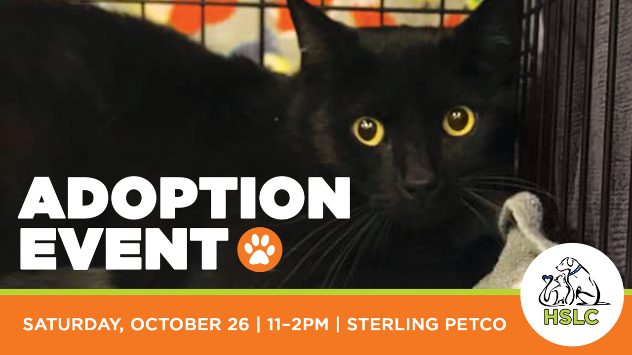 Humane Society Of Loudoun County Adoption Event At Petco In