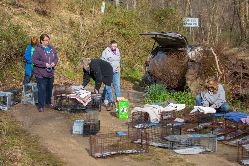 Volunteers with Traps