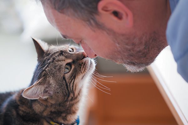 man-cat-touching-noses
