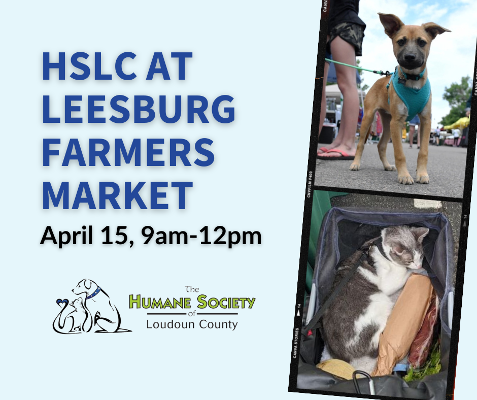 Humane Society of Loudoun County